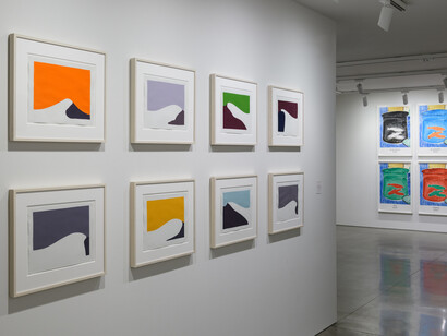 Installation View, Works on Paper, 2024. Photo credits: Shaun Roberts. Courtesy of Berggruen Gallery