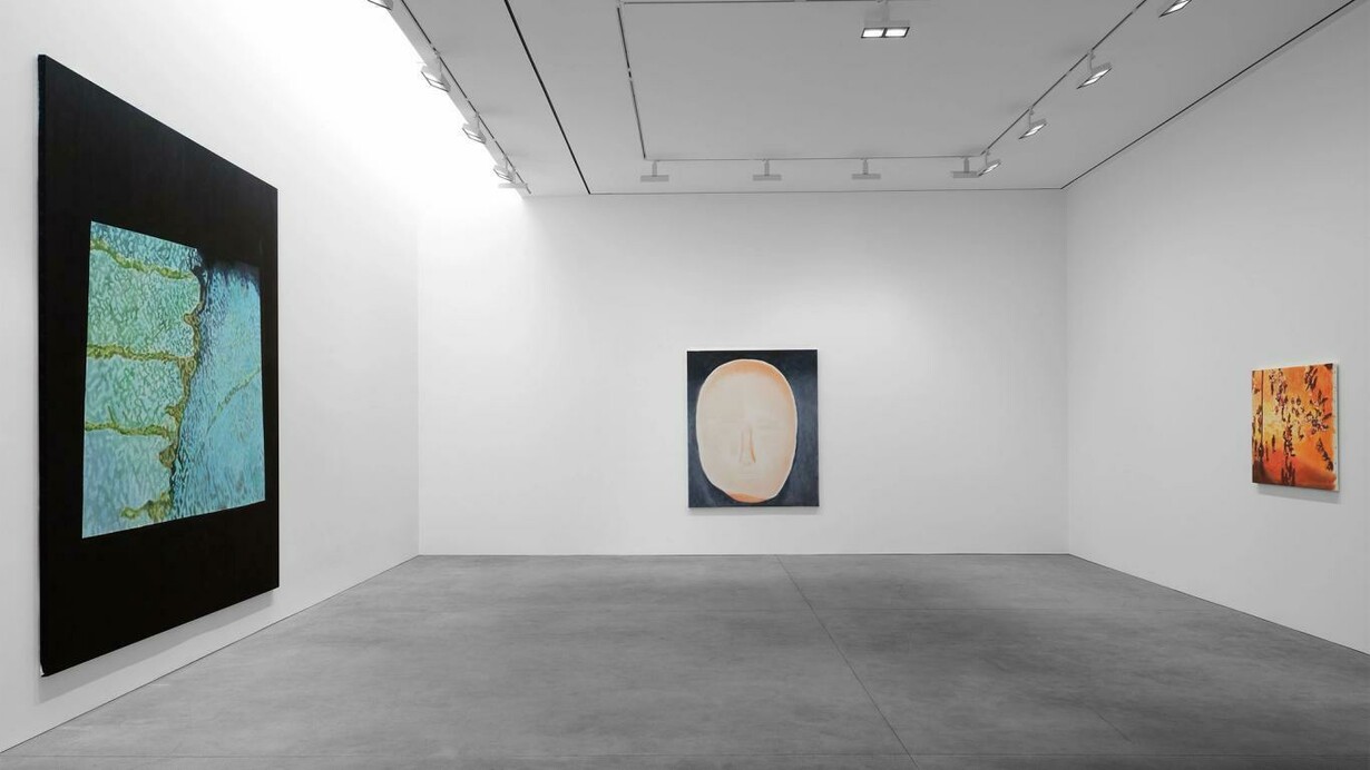 Luc Tuymans, The fruit basket, exhibition view. Courtesy of David Zwirner Gallery