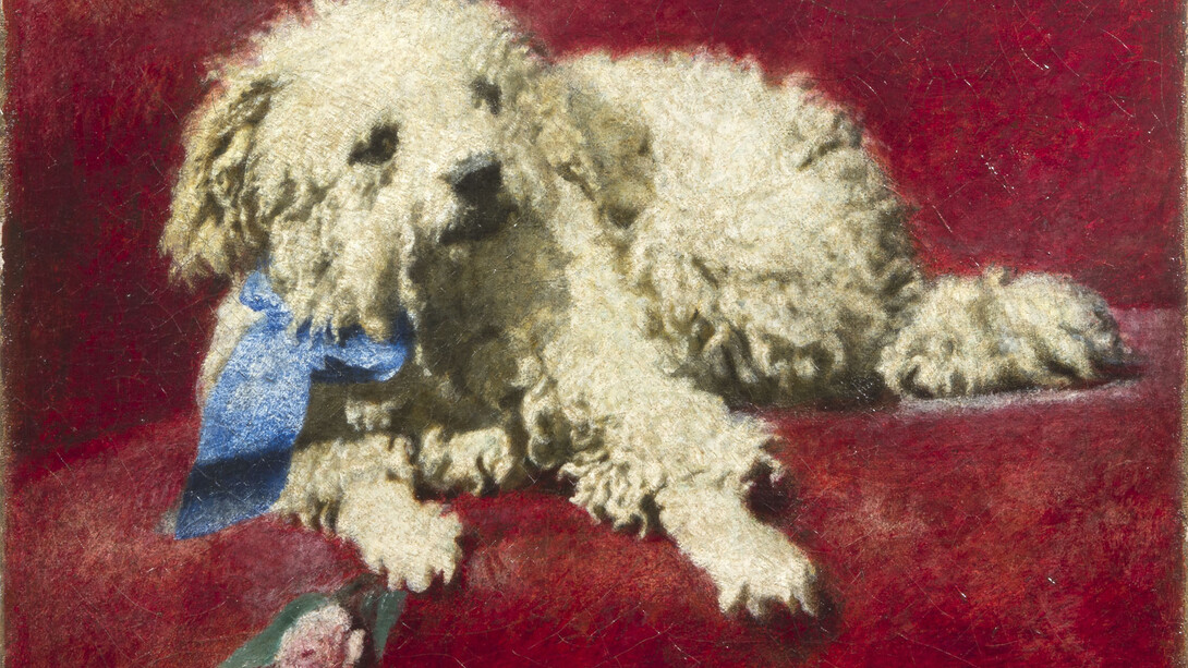 Daniele Ranzoni, Barboncino bianco (Il cagnetto Troubetzkoy), olio su tela, 37 x 44 cm