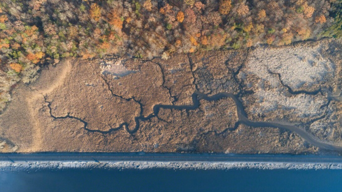 Tributaries. Courtesy of Soho Photo Gallery