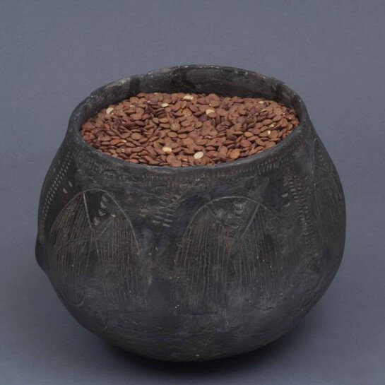 Prehistory. Courtesy of Musée du Cinquantenaire