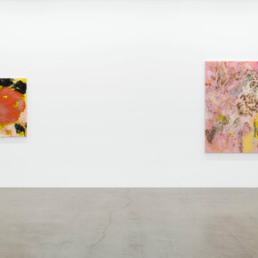 Tala Worrell, Phosphenes, 2023, installation view. Courtesy of Parrasch Heijnen, LA