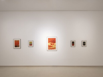 Anna Cabrera and Ángel Albarrán, Ventanas a lo insólito, exhibition view. Courtesy of Galería Elvira González