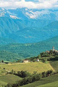 Il Collio, diviso tra Italia e Slovenia