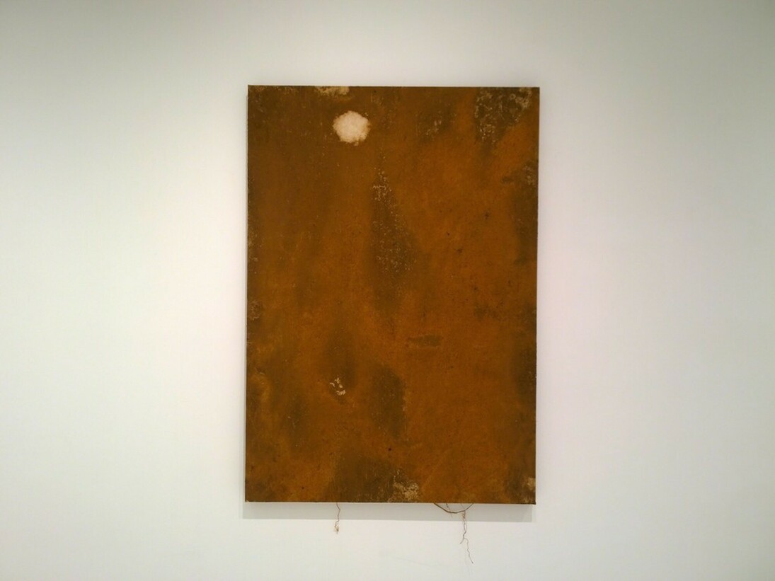 Substance and Increase, Exhibition view. Courtesy of Sapar Contemporary