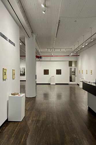 Randall Rosenthal, exhibition view. Courtesy of Louis K. Meisel Gallery