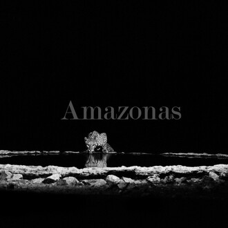 Sebastião Salgado, Leopard in the Barab River Valley, Damaraland, Namibia, 2005, gelatin silver print, 24 x 35 inches/60 x 90 cm © Sebastião Salgado/Amazonas Images