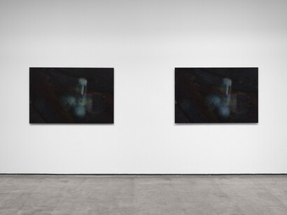 Tauba Auerbach, Zephyr, Zephyr, exhibition view. Courtesy of Paula Cooper Gallery