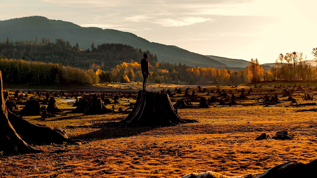 Bosque o barbarie