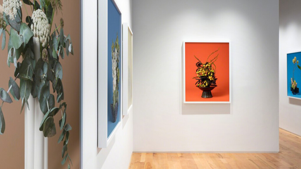 jane says. Courtesy of Denny Gallery