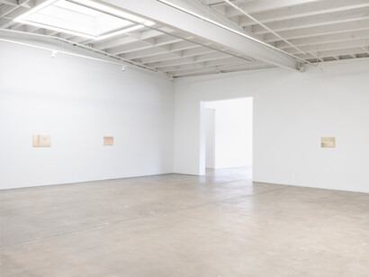 Felipe Suzuki, exhibition view. Courtesy of Karma Gallery