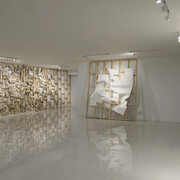 Pavel Acosta, The anatomy lesson, exhibition view. Courtesy of Pan American Art Projects