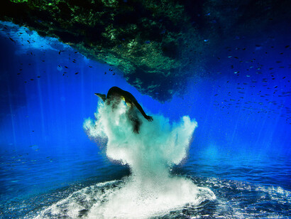 Hugh Arnold, Agua Nacida II