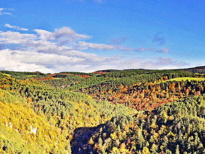 Navarra. Paisaje del valle de Salazar