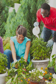 Environmental care: civic actors must be knowledgeable of the different choices their community will face