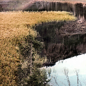 Ramificazioni. Courtesy of Gilda Contemporary Art