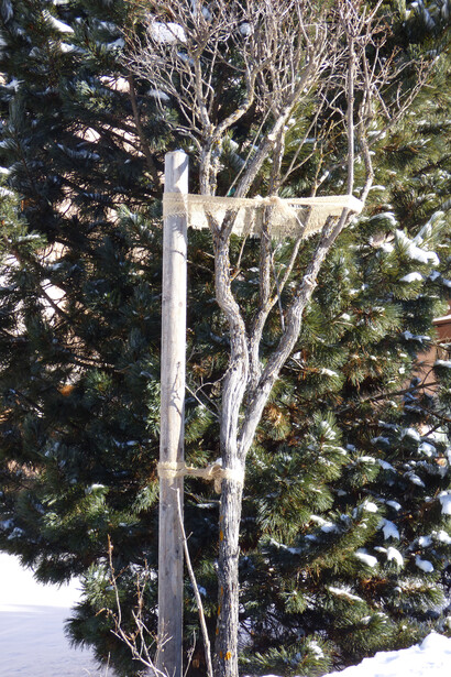 Protezione dalla neve