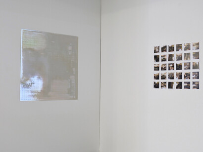 Anna Ridler, Trace remains, ausstellungsansicht. Mit freundlicher genehmigung der Galerie Nagel Draxler