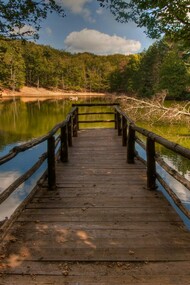 Parco del Gargano, Foresta Umbra