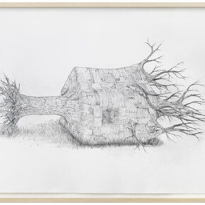 Henrique Oliveira, Full Body Shadow, 2015, Crayon sur papier / Pencil on paper, 75 x 106 cm / 29 1/2 x 41 3/4 in. Pièce unique / Unique piece, Courtesy Galerie GP & N Vallois Paris, Photo : André Morin