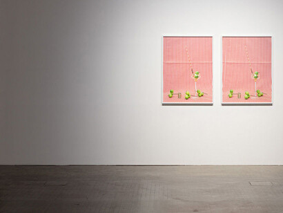 Annette Kelm. Courtesy of Kunsthalle Wien