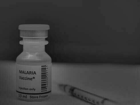      Se não for tratada no prazo de 24 horas, a malária pode evoluir para uma doença grave, muitas vezes levando à morte