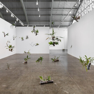 Daniel Steegmann Mangrané, Uma folha translúcida no lugar dos olhos, vista da exposição. Cortesia de Mendes Wood DM