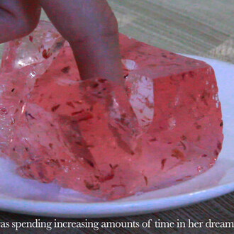 Hideous Intimacies. Courtesy of Projet Pangée