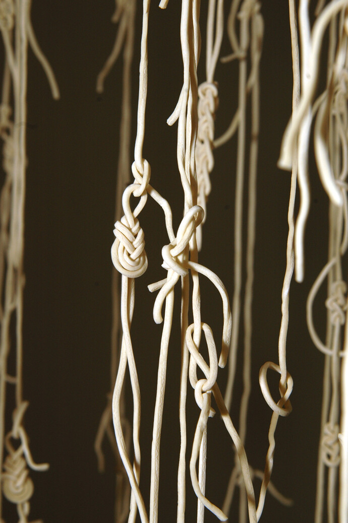 Sabrina Muzi, Ceremony, installazione, 2013, pasta alimentare