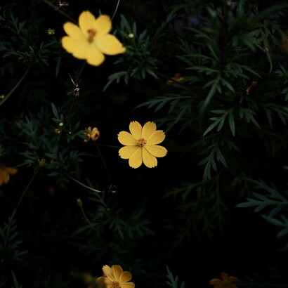 Face à la frustration, prenez le temps d'observer la situation sous un autre angle