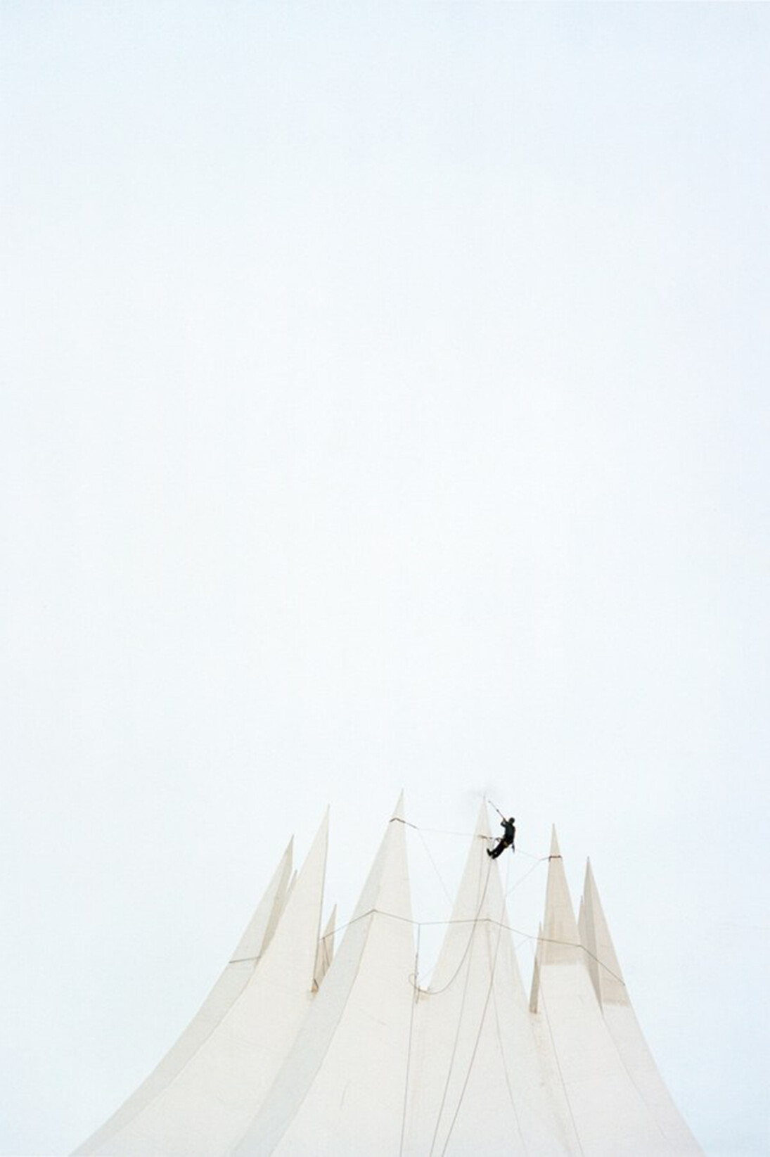 Noguchi Rika, A Man and Some Birds, #4, 2010.