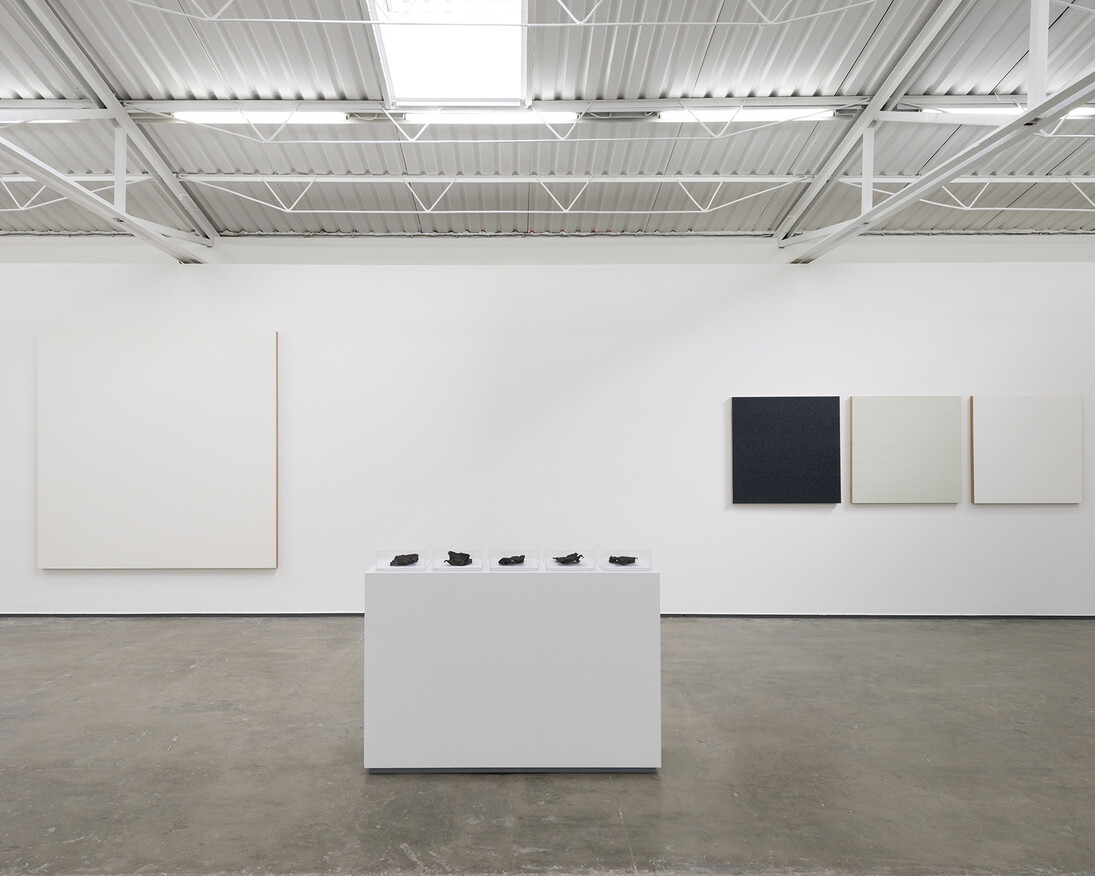 Vista del montaje Entropías, 2018. Foto: Rodrigo Viñas. Cortesía del artista y Proyectos Monclova