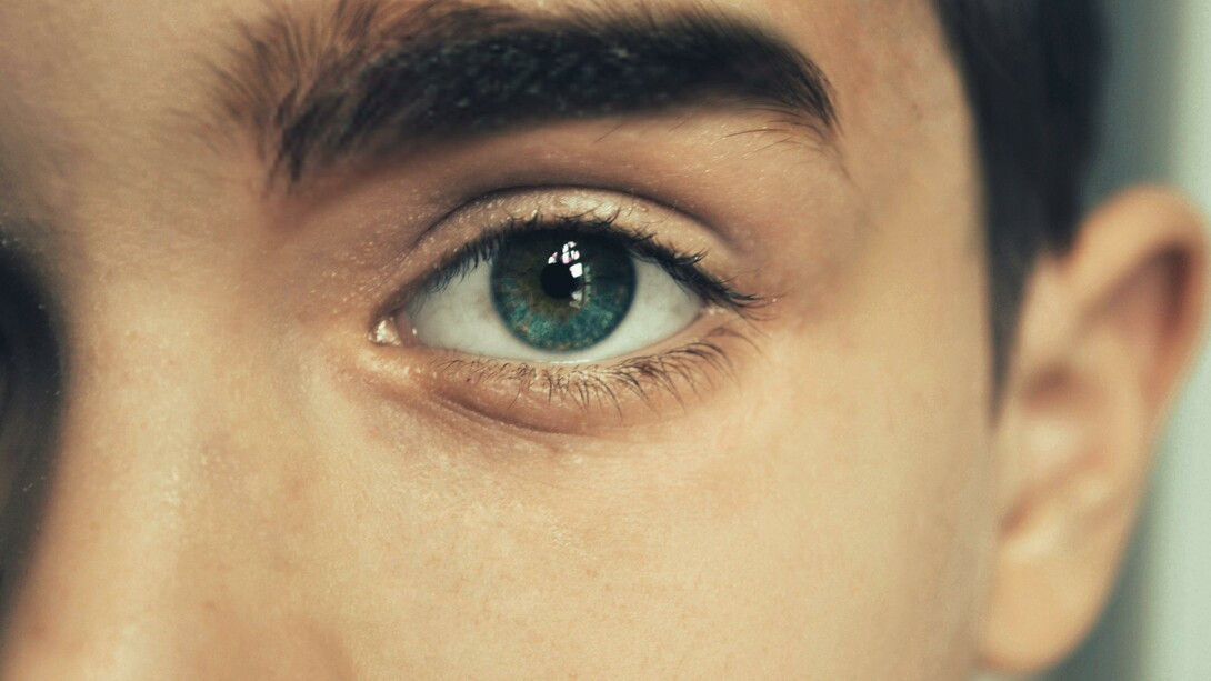 A person with blue eyes. What one sees is what one sees when one perceives what is evidenced
