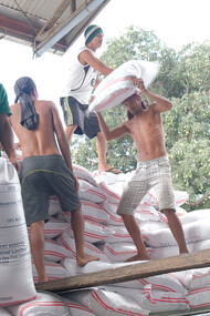 Filipino workers hauling rice bags