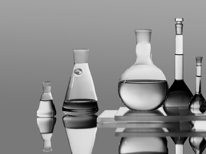 Progettò una straordinaria carrozza anfibia, in grado di muoversi sia su terra che sull’acqua, destando meraviglia tra i suoi contemporanei