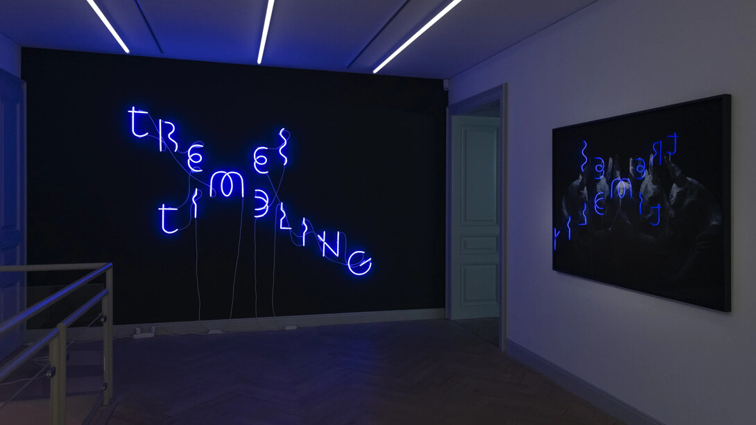 Yael Bartana, If you will it, it is not a dream, ausstellungsansicht. Mit freundlicher genehmigung der Galerie Peter Kilchmann