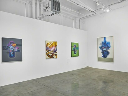 David Choong Lee. Gravity, Exhibition view. Courtesy of Jonathan LeVine Projects