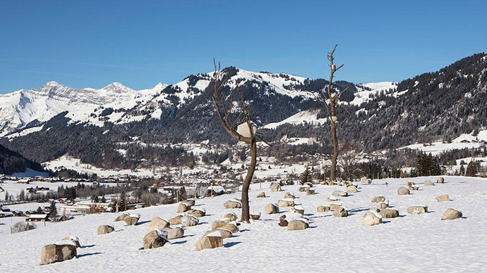 Giuseppe Penone. Courtesy of  Galerie Gagosian