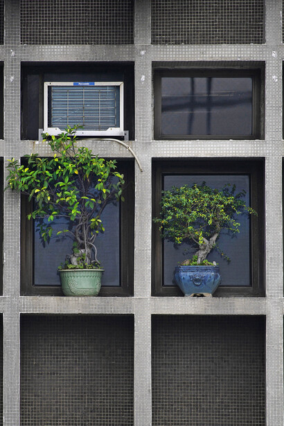 Arrangements (c) Michael Wolf, courtesy of Flowers Gallery