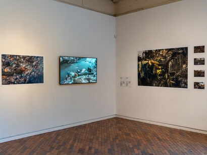 Uýra, Memórias de alagamento [Flooded memories], exhibition view. Courtesy of MAMBO