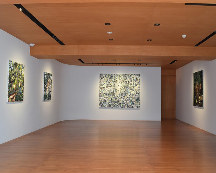 Taishi Hatayama. Courtesy of Sezon Art Gallery
