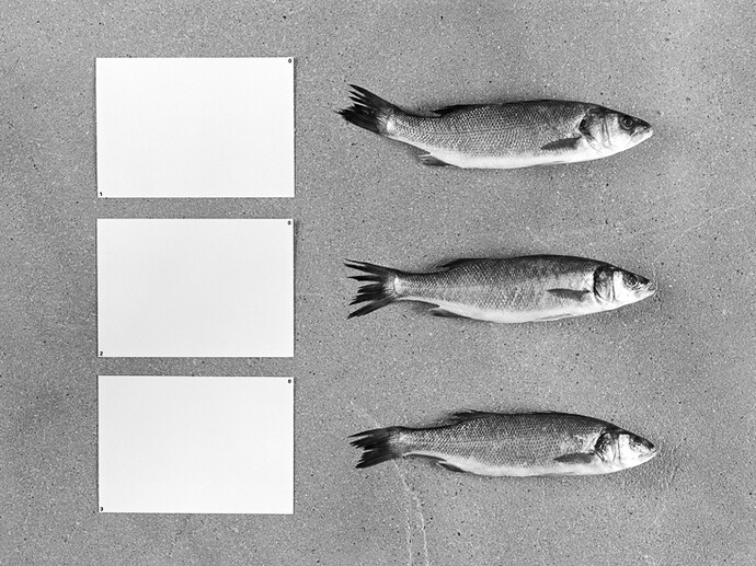 Victoria Jenkins, Fig. 9
