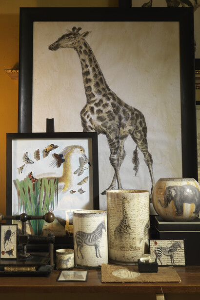 Safari theme
