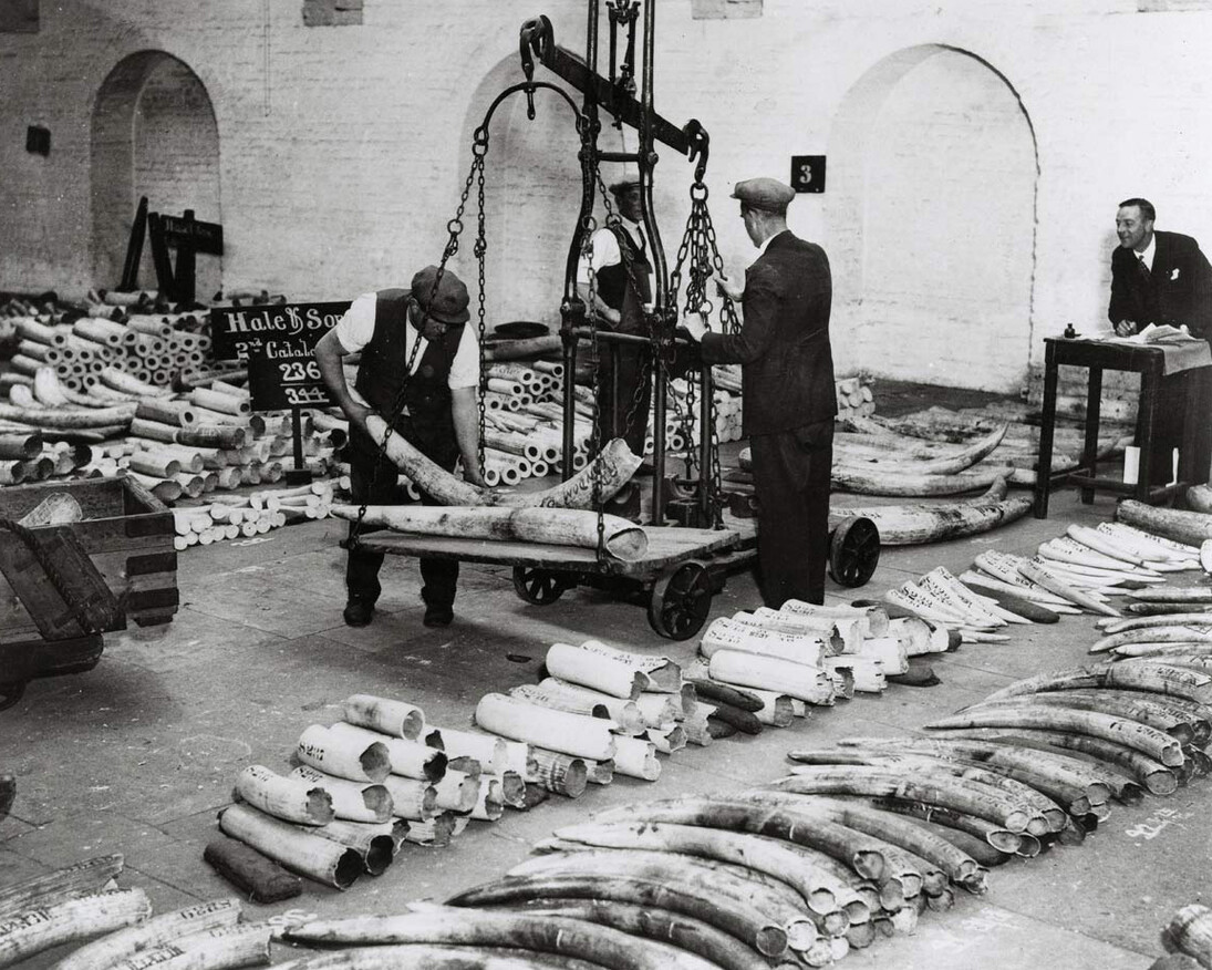 Warehouse of the World. Courtesy of Museum of London Docklands