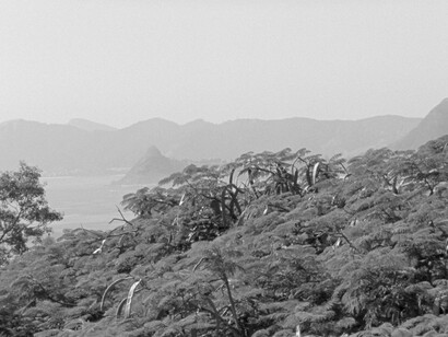 Tamar Guimaraes and Kasper Akhøj, Captain Gervasio's Family (film still), 2013-14 © Tamar Guimaraes and Kasper Akhøj, Courtesy of the artists and Fortes D’Aloia & Gabriel, São Paulo, and Ellen De Bruijne Projects, Amsterdam