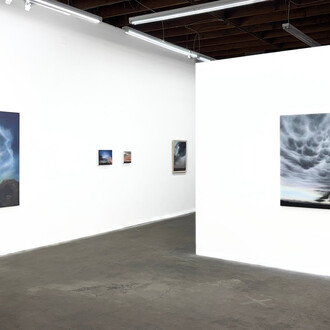 Samantha Fields, Lay of the land, exhibition view. Courtesy of Billis/Williams Gallery