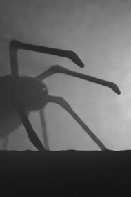 Aracnofobia.  É o medo de aranha, o fóbico entra em pânico por medo de ser picado por uma aranha ou ser tocado, levando-o a descontrolar-se e ter crise de pânico