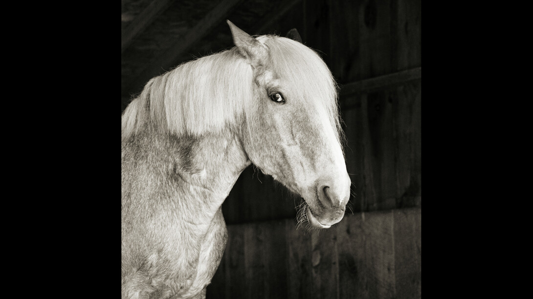 Isa Leshko. Courtesy of Richard Levy Gallery