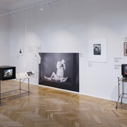 Gleizds, paper, scissors, exhibition view. Courtesy of Pauls Stradiņš Medicine History Museum. Photo courtesy of Ansis Starks