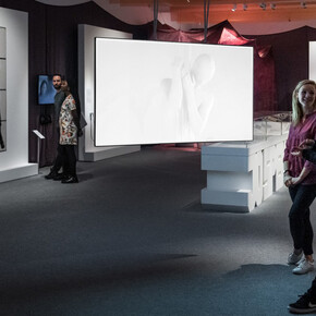 Misbehaving Bodies. Courtesy of Wellcome Collection